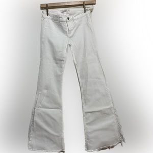 Low-Rise Hollister Flare Jean
